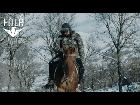 Stine — Dinasty
